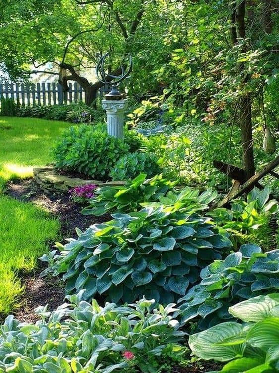 Landscape for shade to reduce the temperature inside your house without using air conditioner #shade #whatfans #energysaving #savingmoney #summertips #energysavingtips #coolingtips #homeimprovement #backyard #backyarddesign #landscaping #landscape